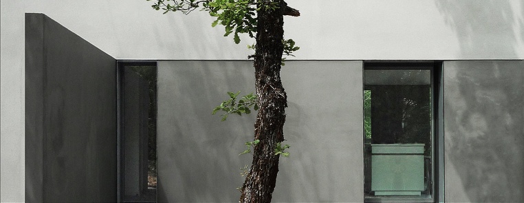 Franck Martinez architectes